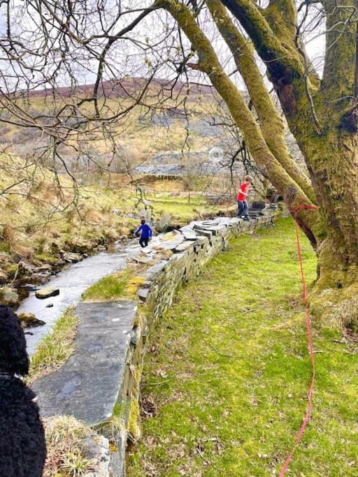 Yr Hen Siop - 4 Bed Welsh Cottage In Snowdonia Penmachno Dış mekan fotoğraf